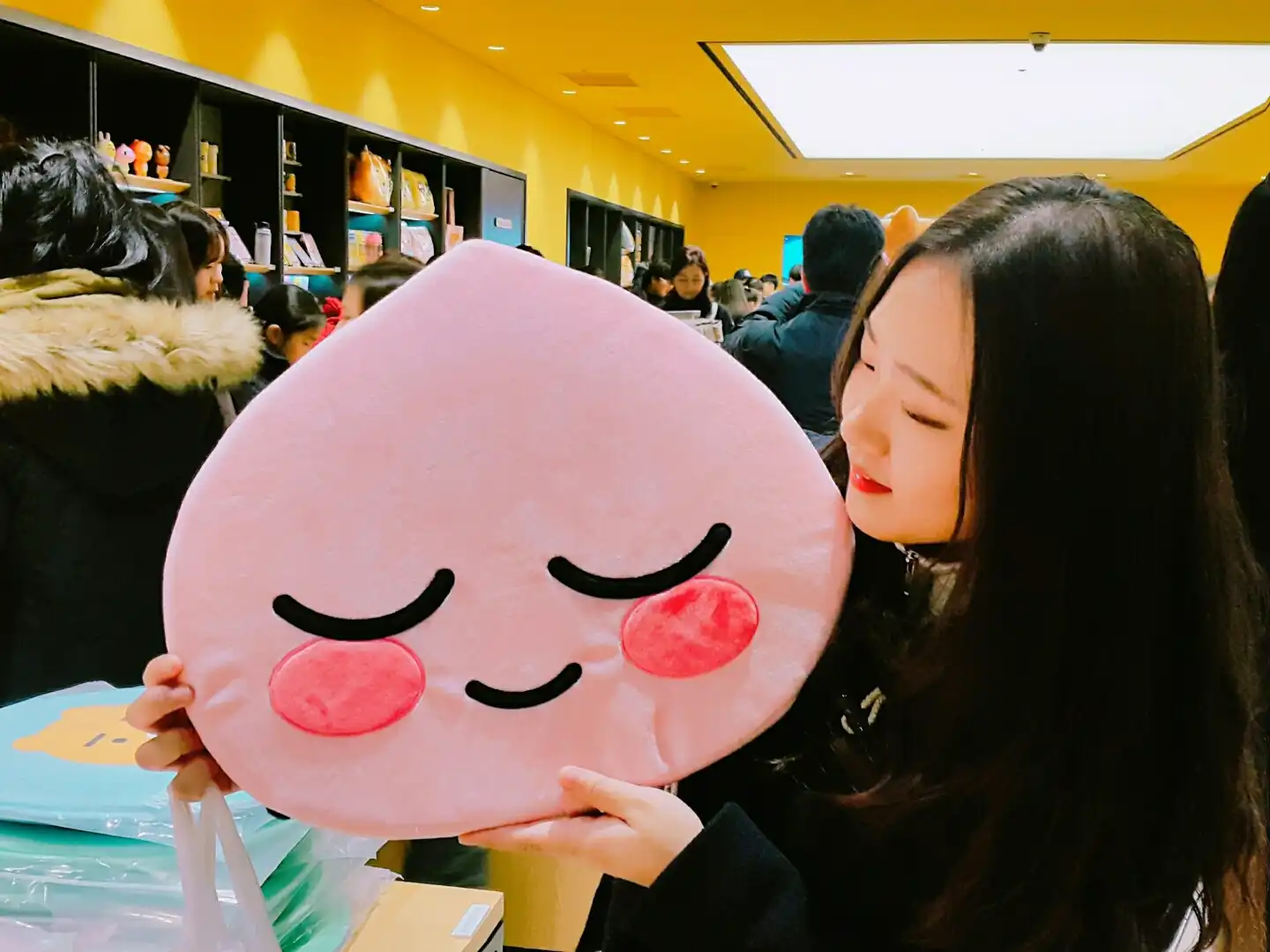 이화동화