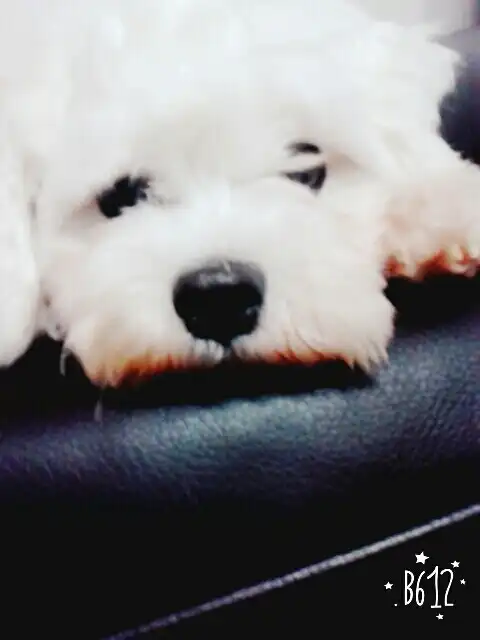 가을빛