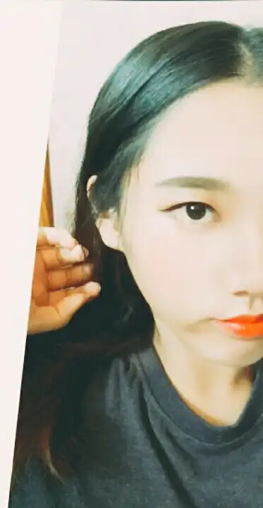 숲에