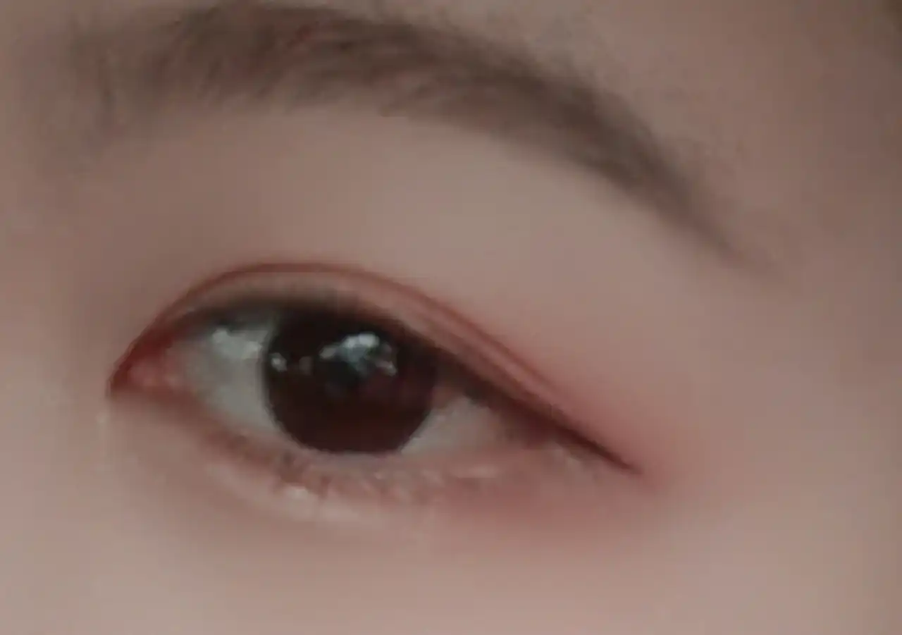붐범