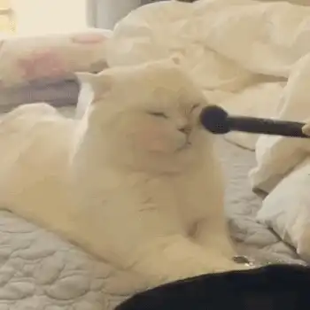말랑카웅