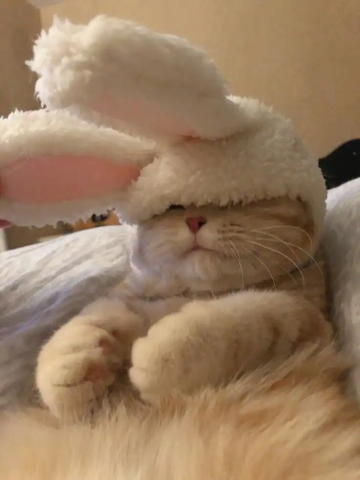예쁜게죄