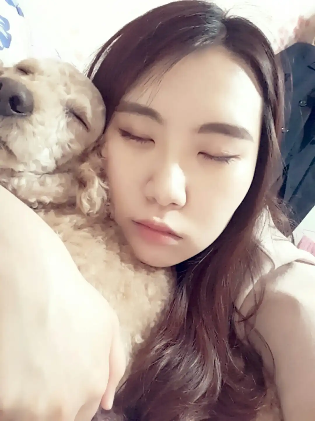 꼬모누나
