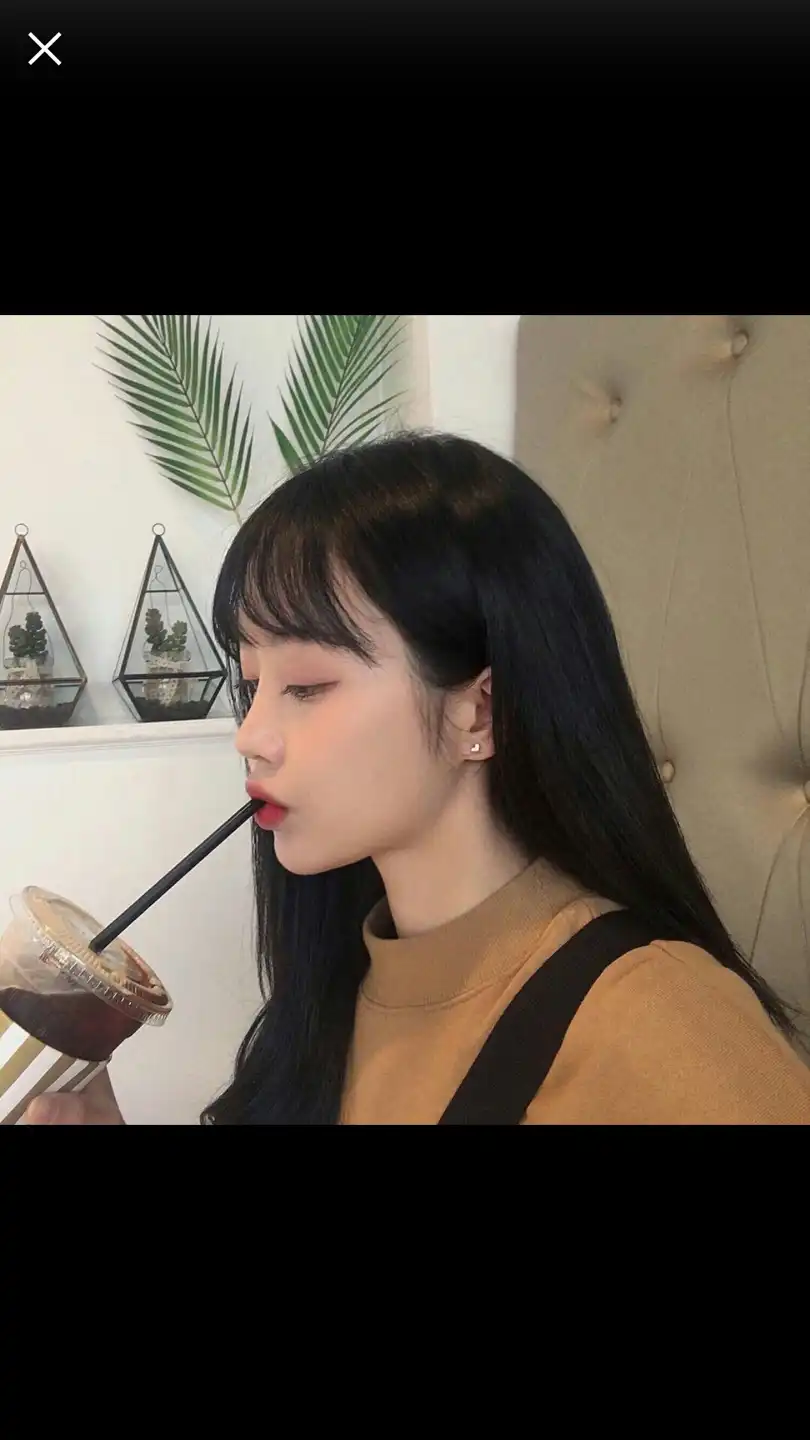 비타민재히V