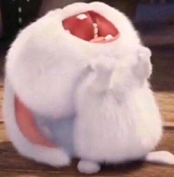 지나가던토깽이