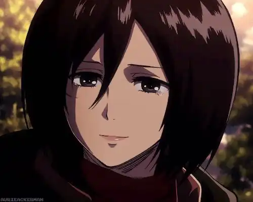 미카사