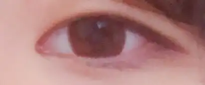 코세