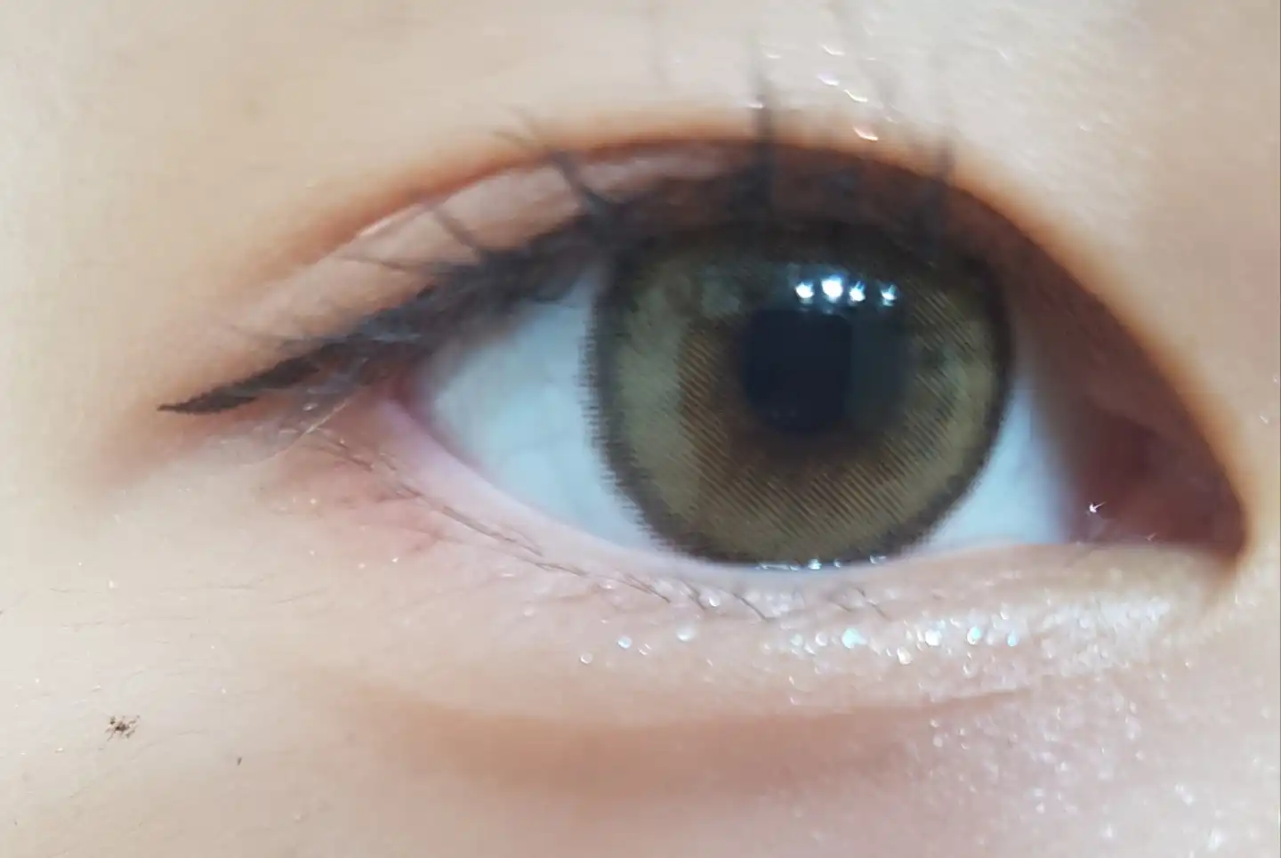 어쩌라는거냥