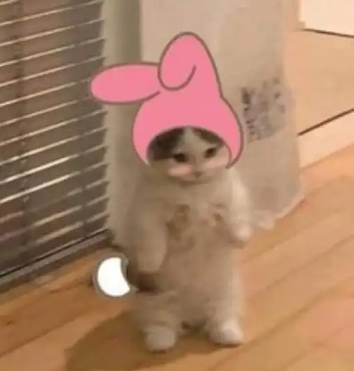 하퐁퐁