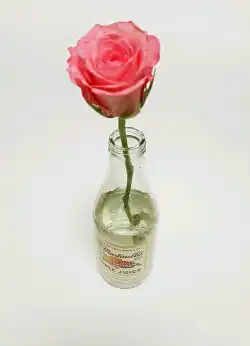 쫑은곰돌