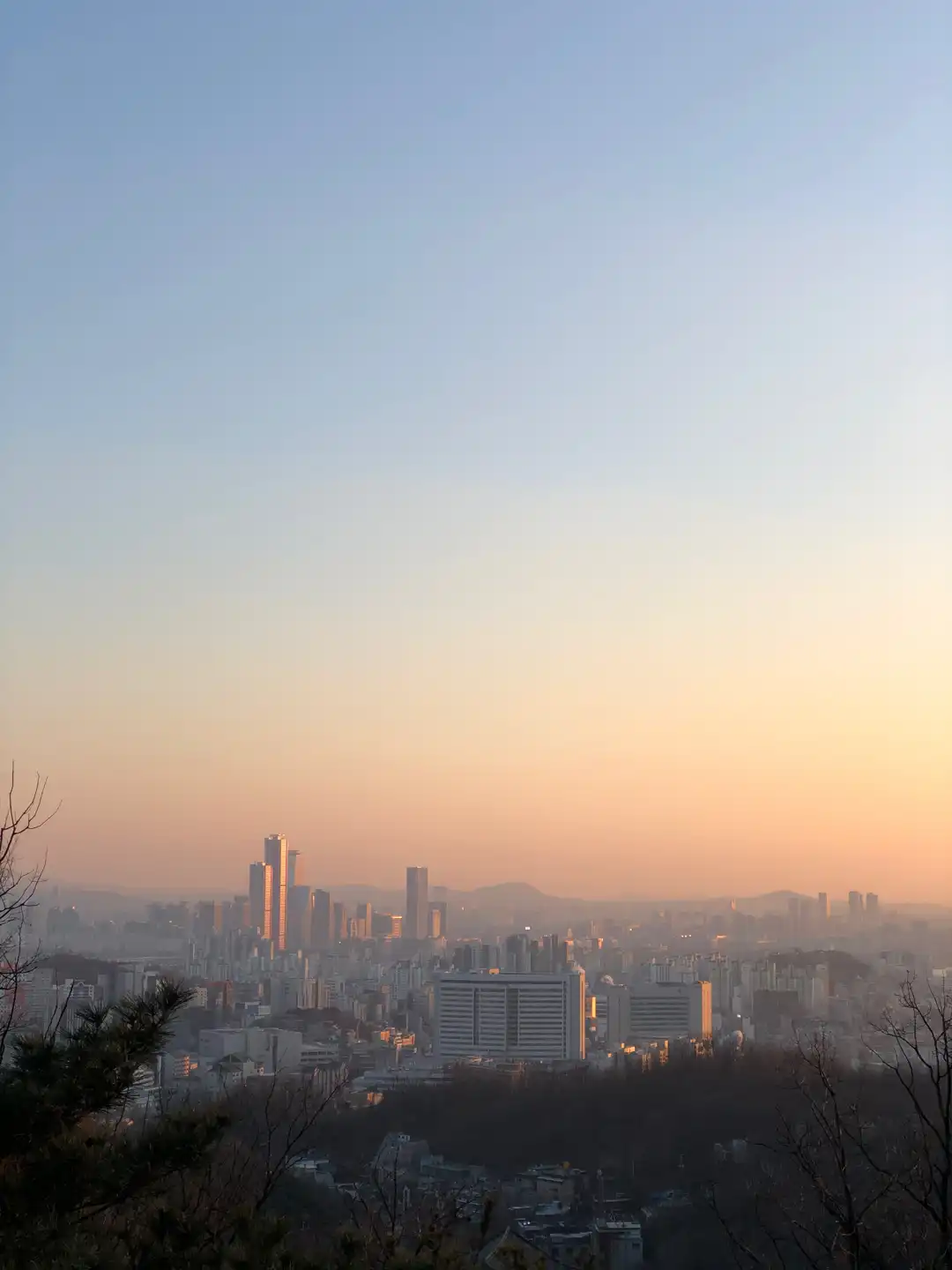 신디팍cindypark