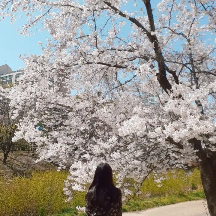 눈누난나둥실둥실