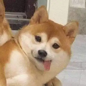 싱슝생슝