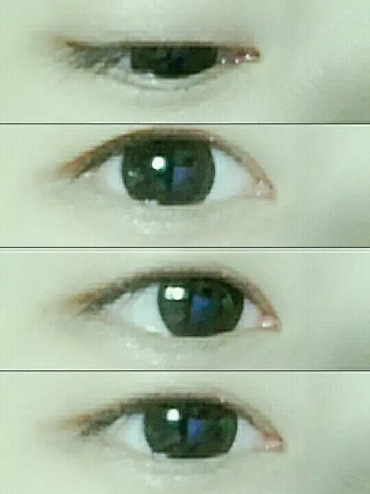 포노포노