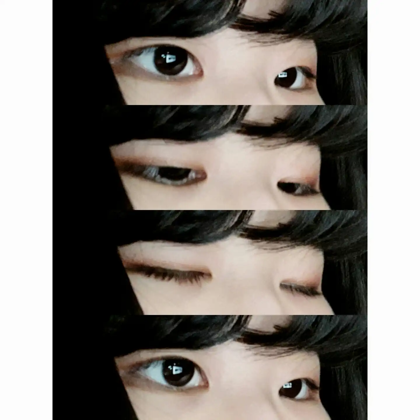 니뇽나뇽
