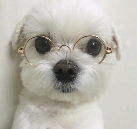 인뚜뚜