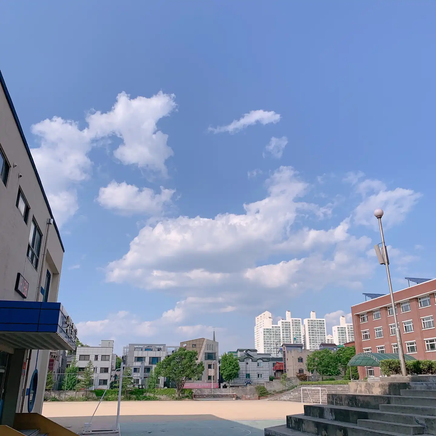 두부_