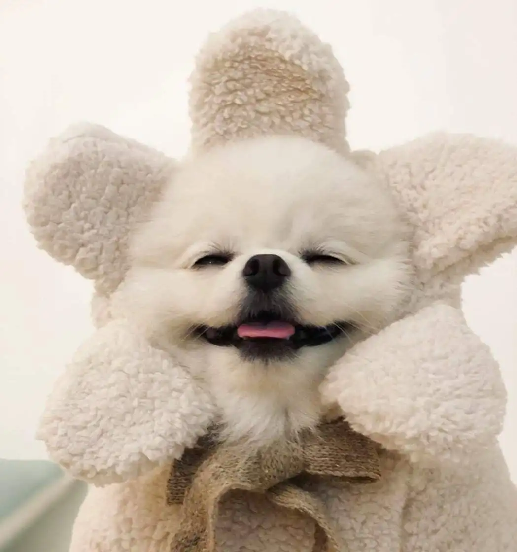 따라뚠