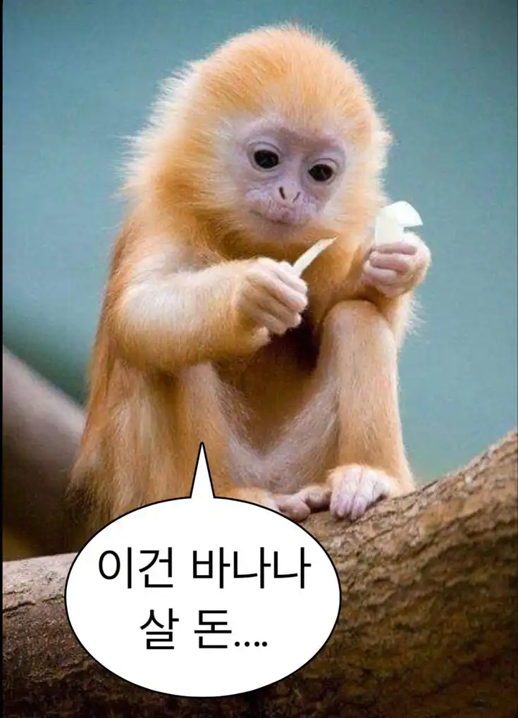 윰콩25