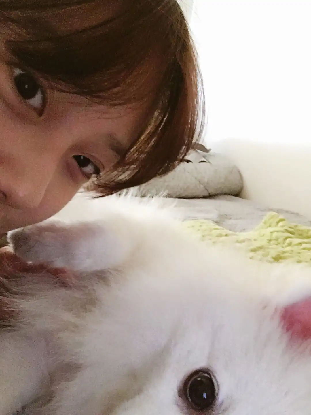 또아블
