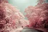 꼴뚜기여친