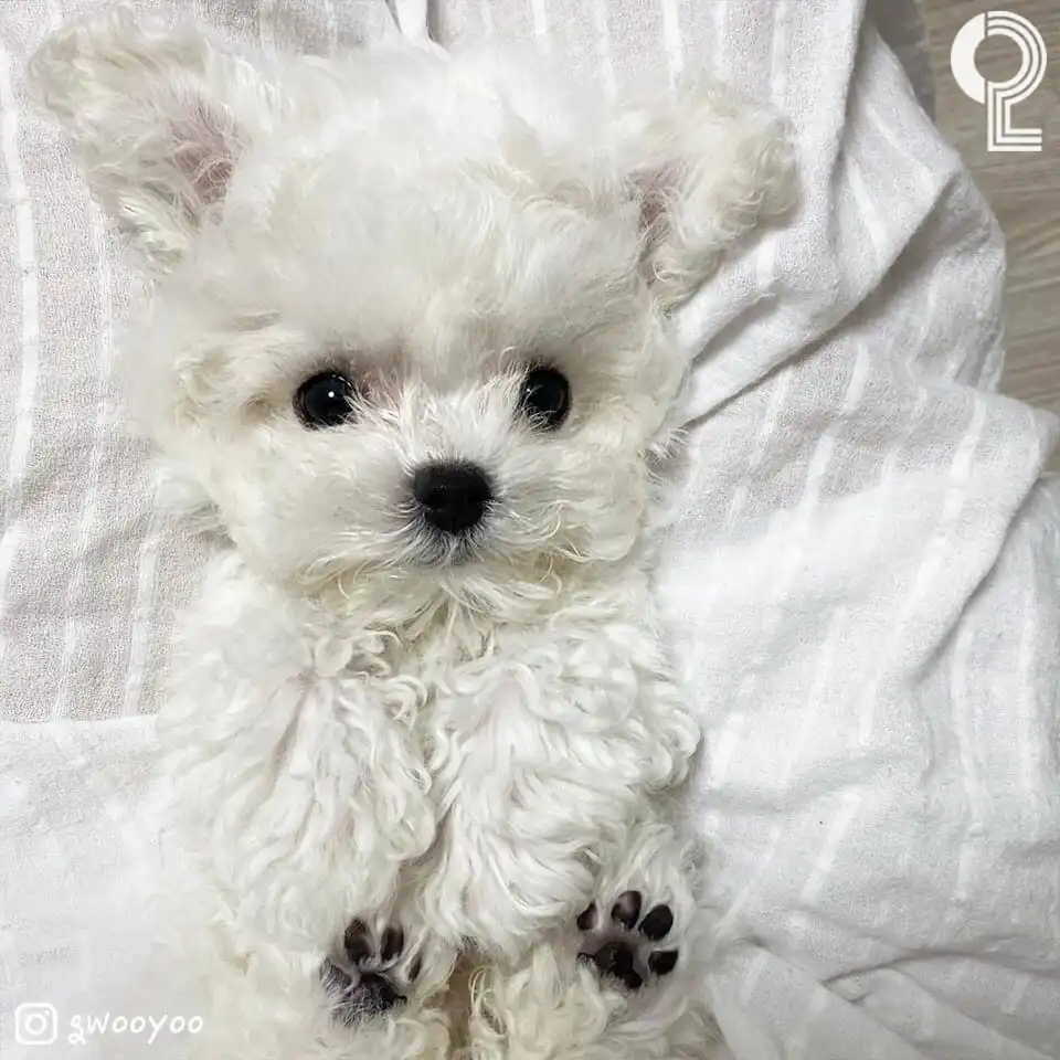 요니이이이