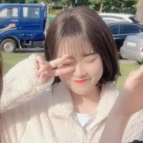 햄토라