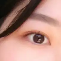 코코몽그리