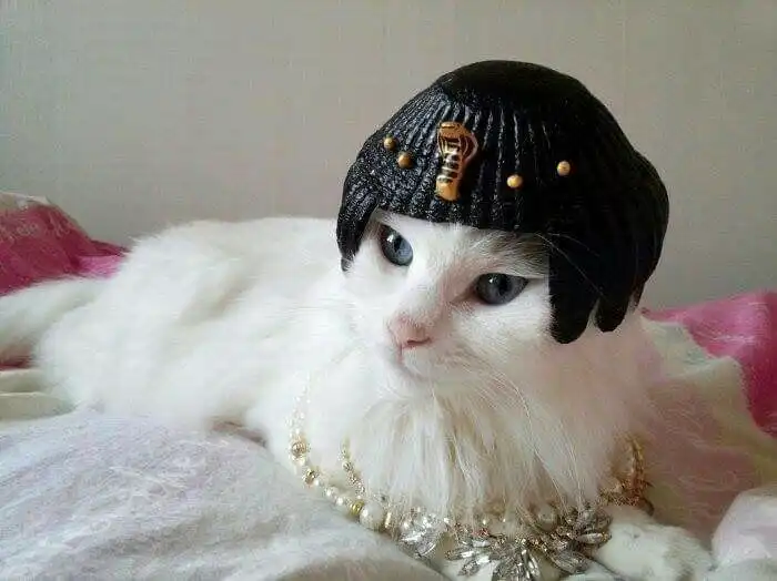 내귀에꼬기