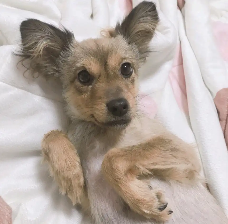 주은은은