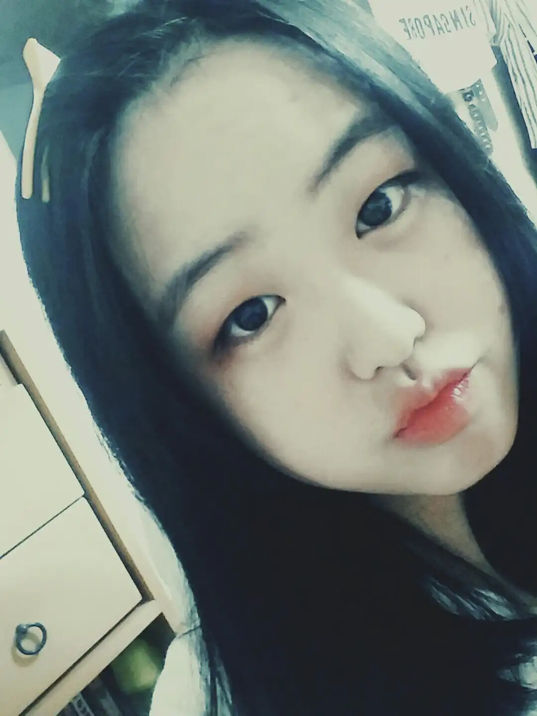 니모니모모