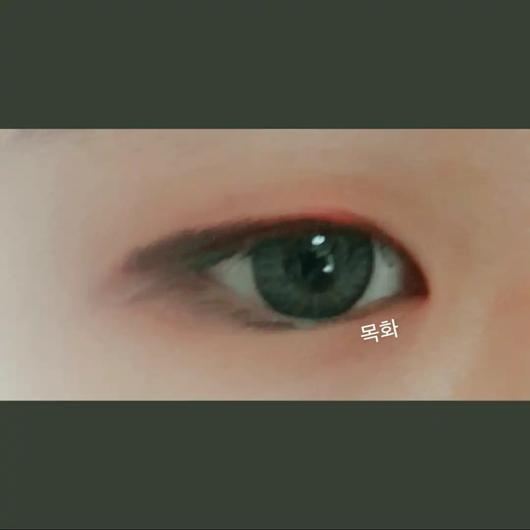 _목화