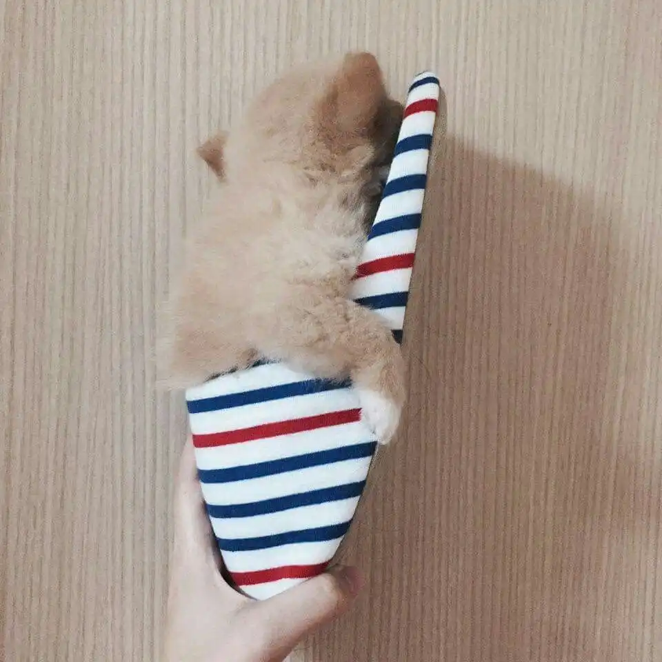으흠으흠