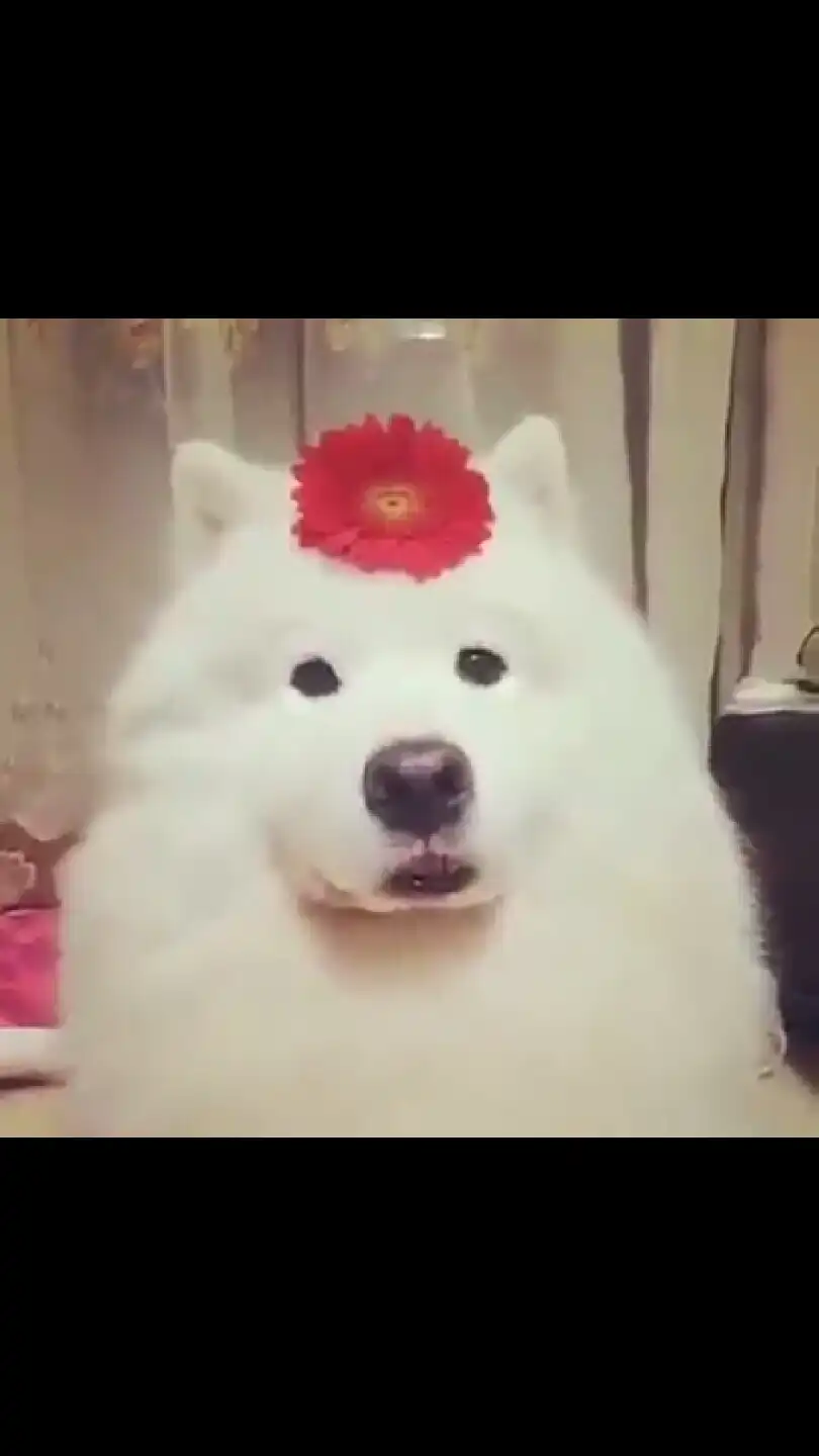 여혜난이