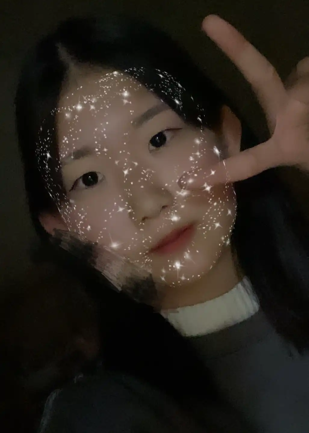 토깽수진