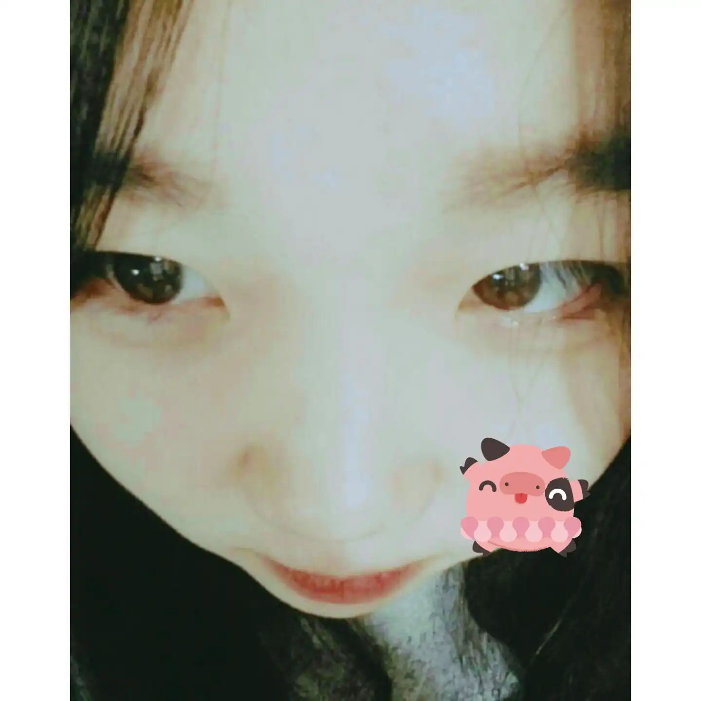 꼬치집양
