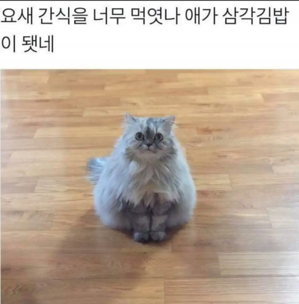 유저 배경화면