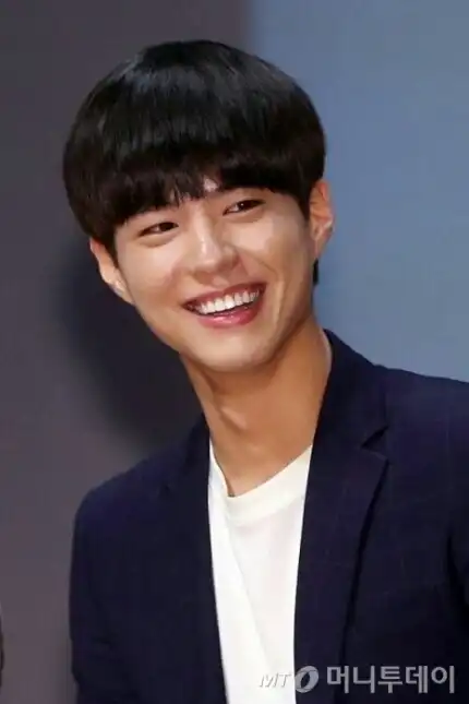 내리보검