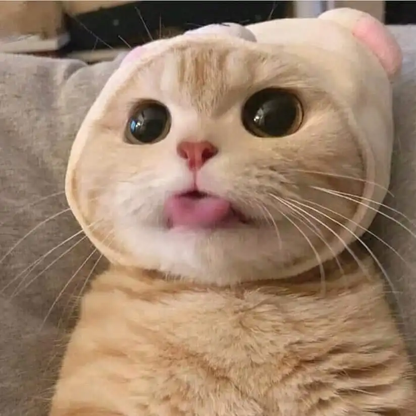 기무유진
