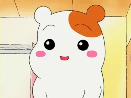 밍만보
