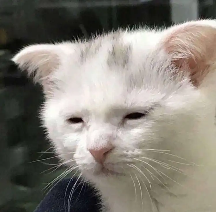 유진ë