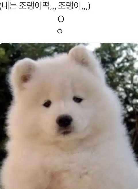 너조