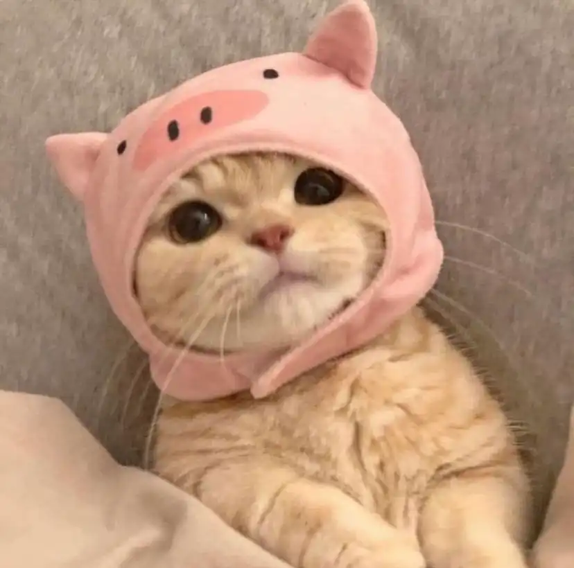 예욘