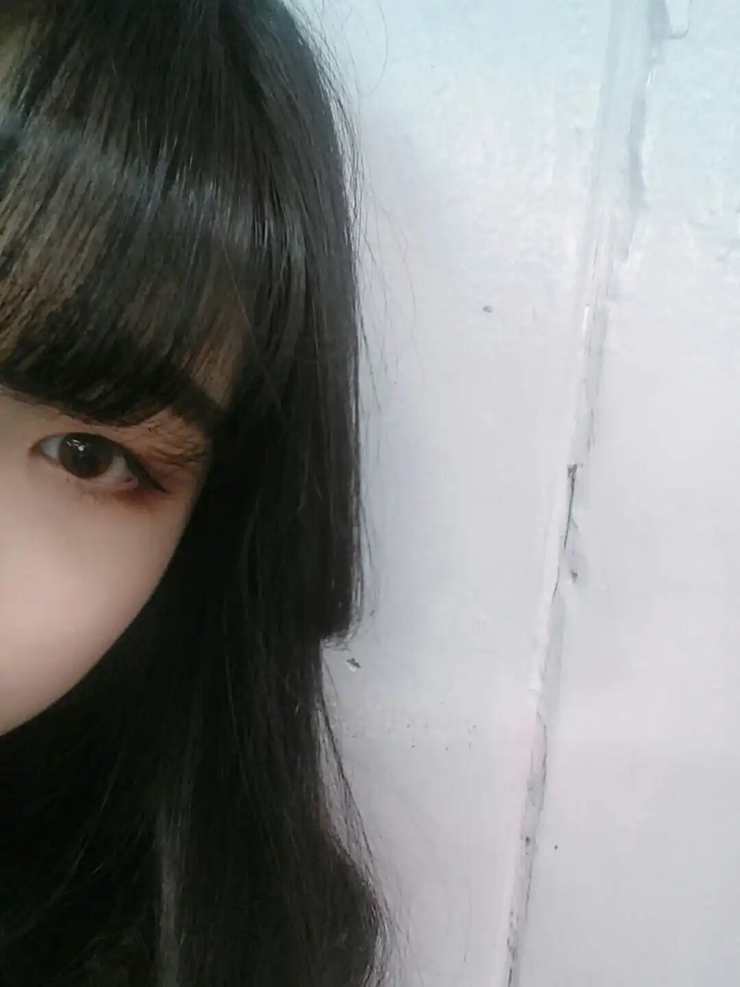 서우토끼