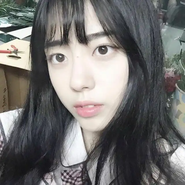 김연콩