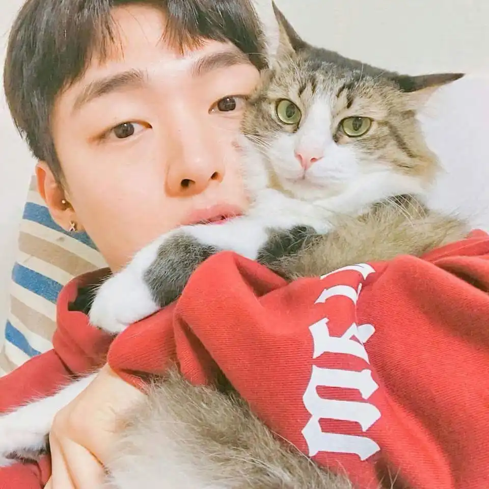 메리해니