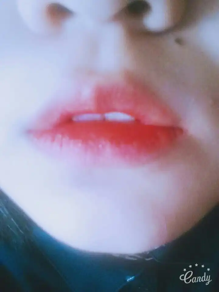 진리무쌍