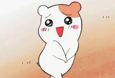 야옹이집사