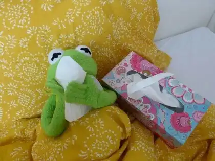 히율이