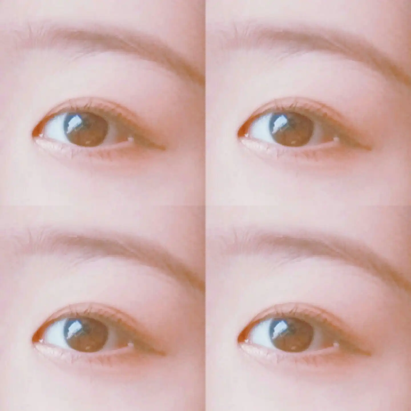 교복누나